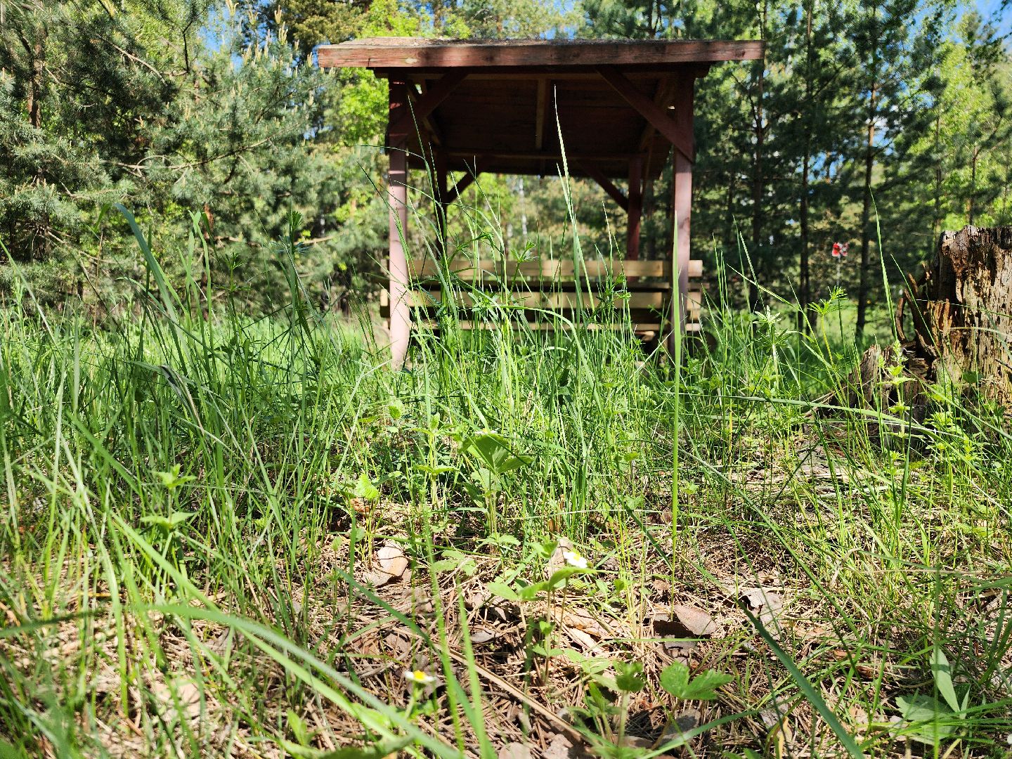 комитет лесного хозяйства, пожароопасный сезон, зона отдыха,