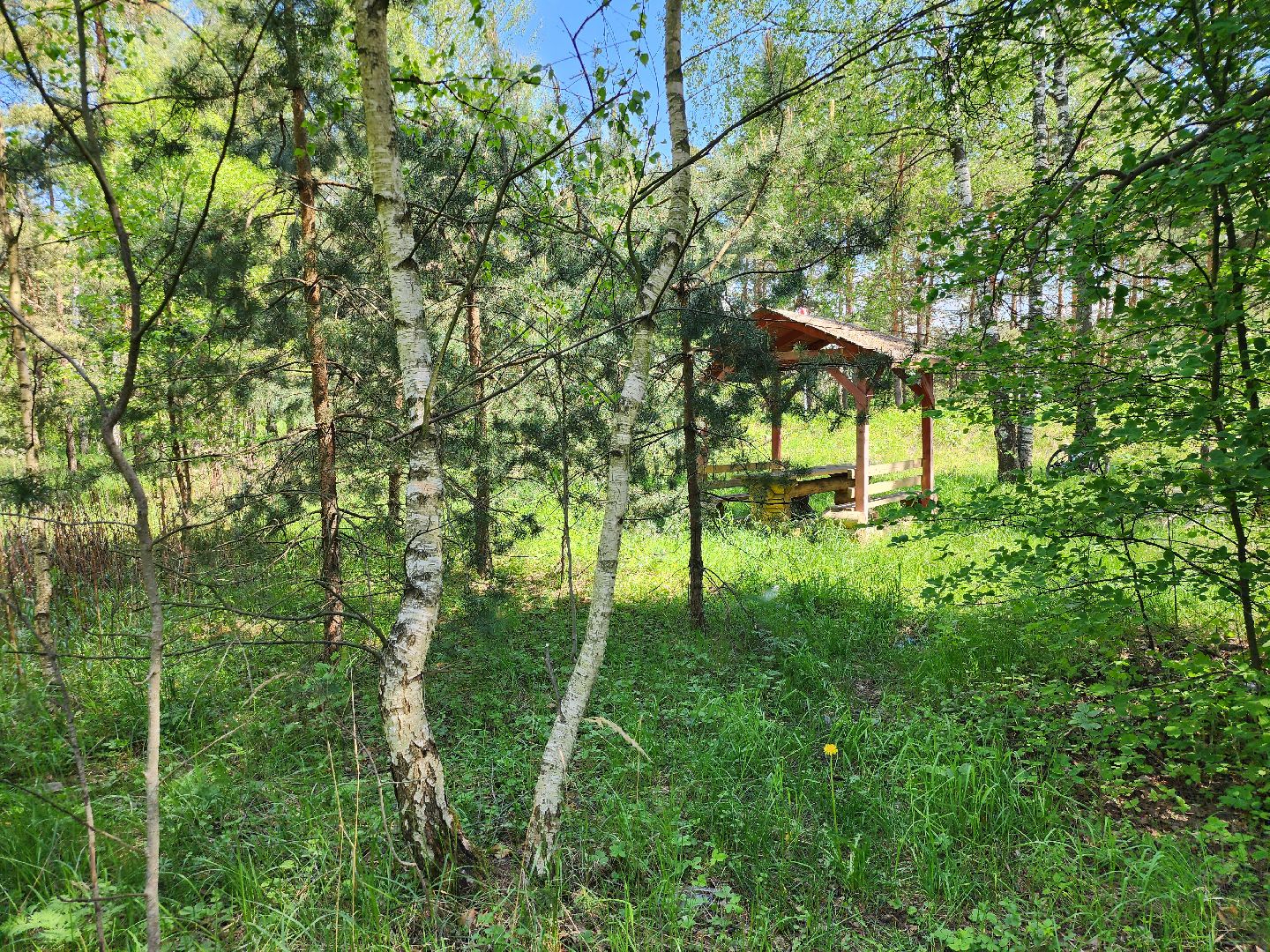 комитет лесного хозяйства, пожароопасный сезон, зона отдыха,