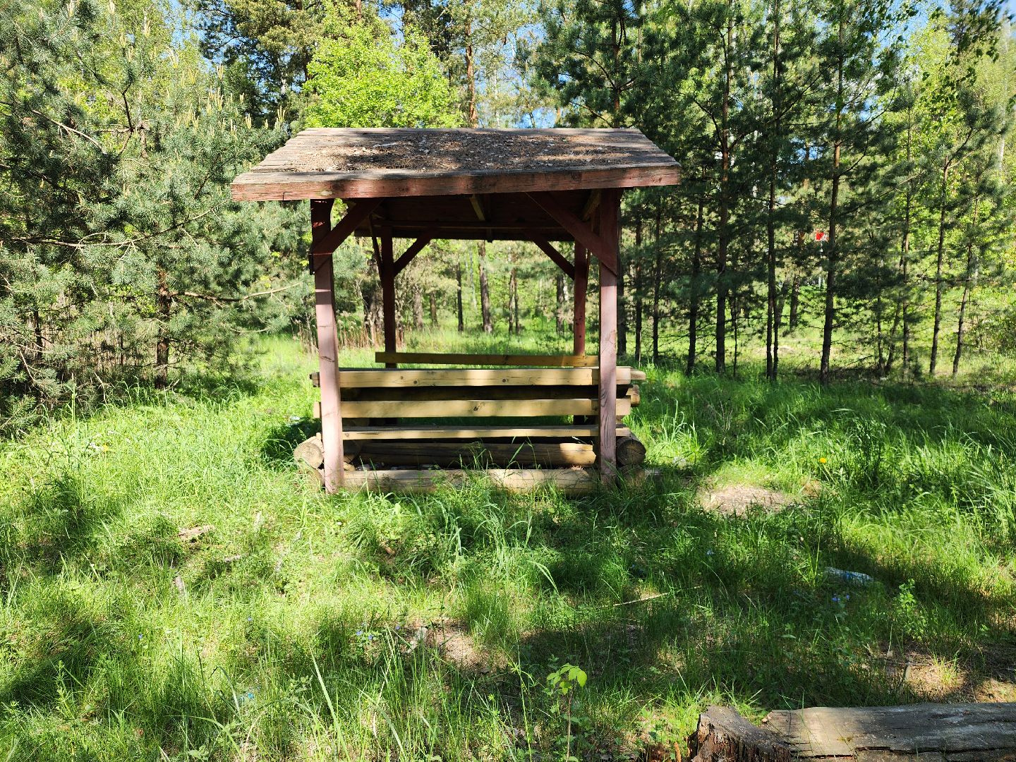 комитет лесного хозяйства, пожароопасный сезон, зона отдыха,