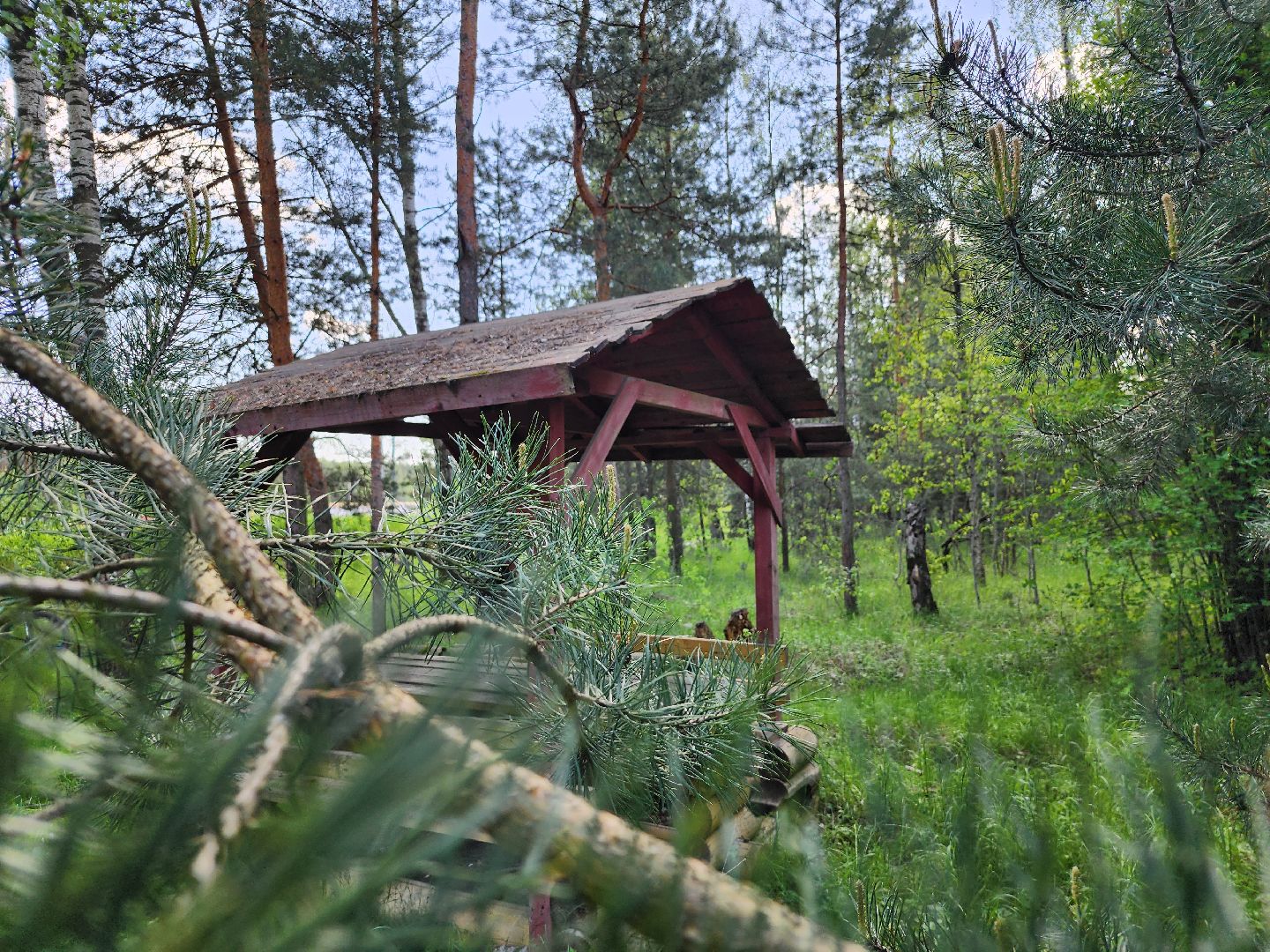 комитет лесного хозяйства, пожароопасный сезон, зона отдыха,