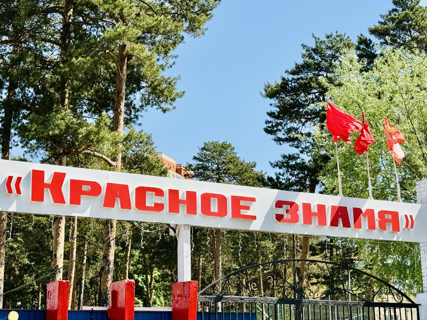 раменское, спорт, дети, первенство , легкая атлетика, стадион красное знамя,