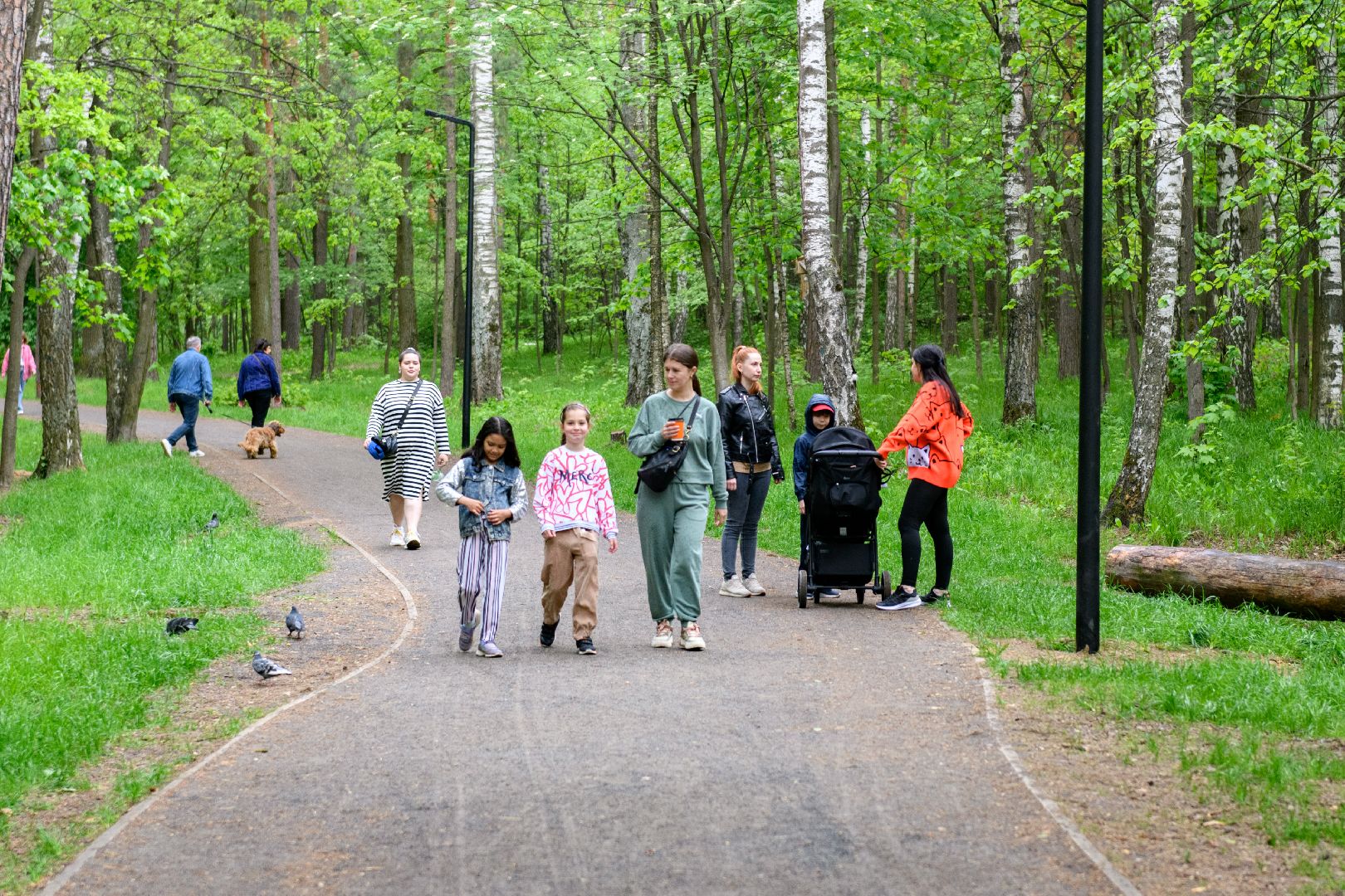 лыткарино, волкуша, отдых в подмосковье, отдых на природе, туризм, туризм в подмосковье,