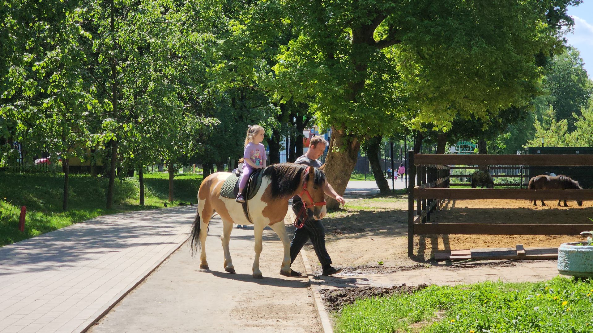 подольск, парк талалихина, отдых,