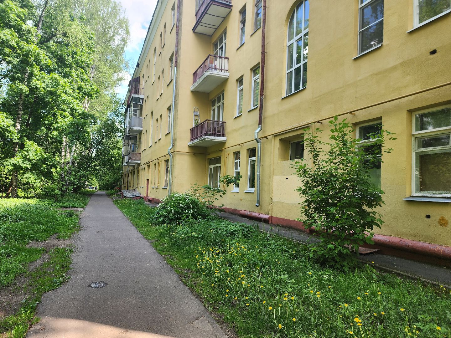 королёв, выездная администрация в королеве, диалог власти и жителей,