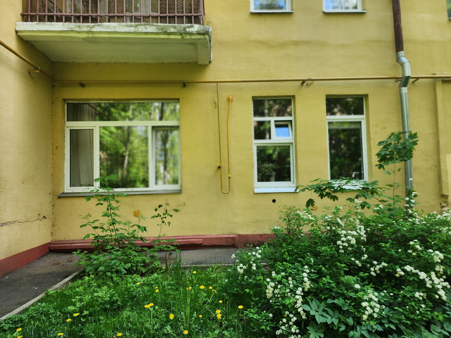 королёв, выездная администрация в королеве, диалог власти и жителей,