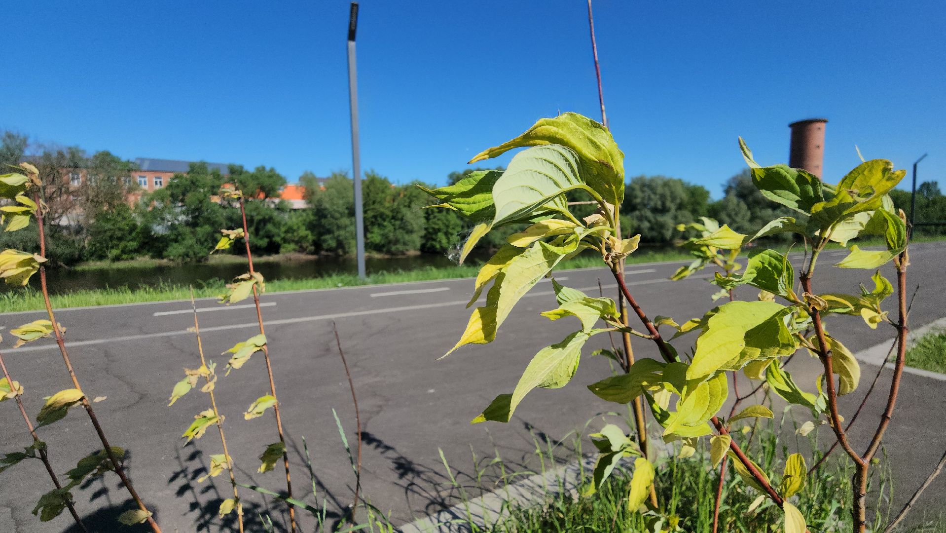 павловский посад, туризм, отдых,