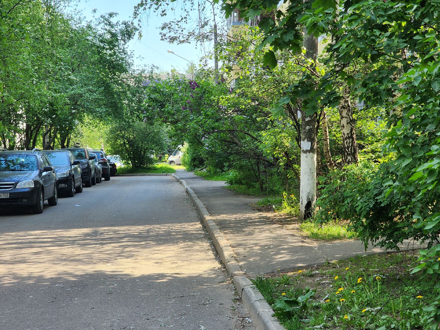 королёв, диалог с жителями королева , выездная администрация в королеве,