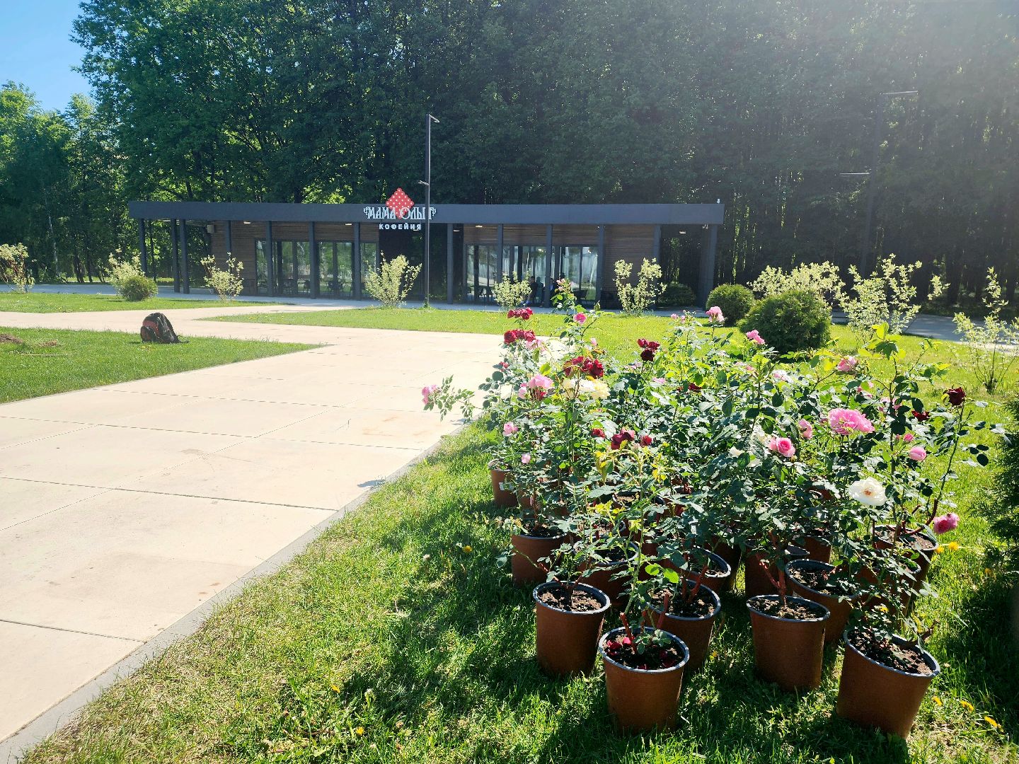 пущино, серпухов, парки, благоустройства,