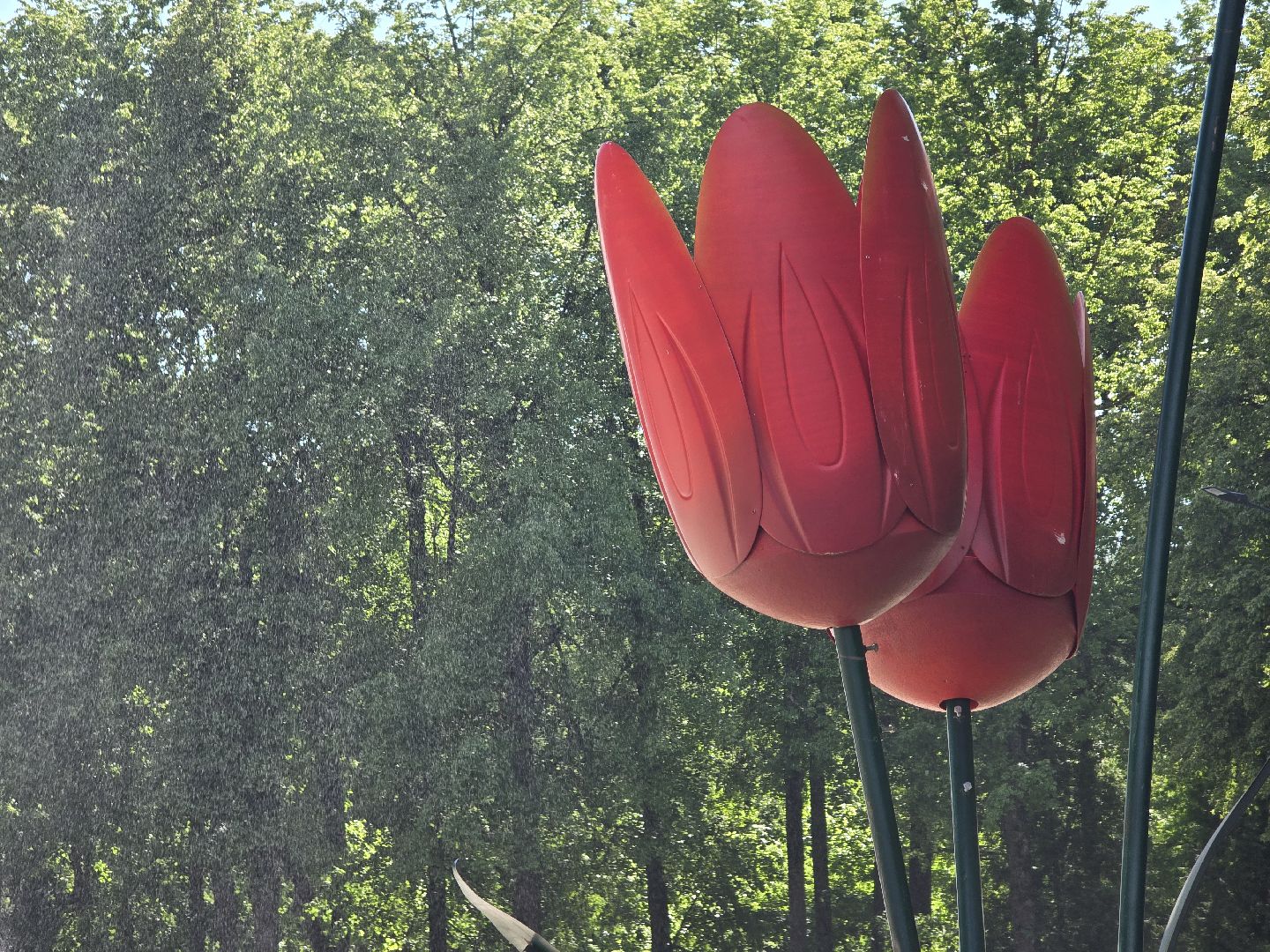 Коломна , выставка под открытым небом, плакат, окна войны,
