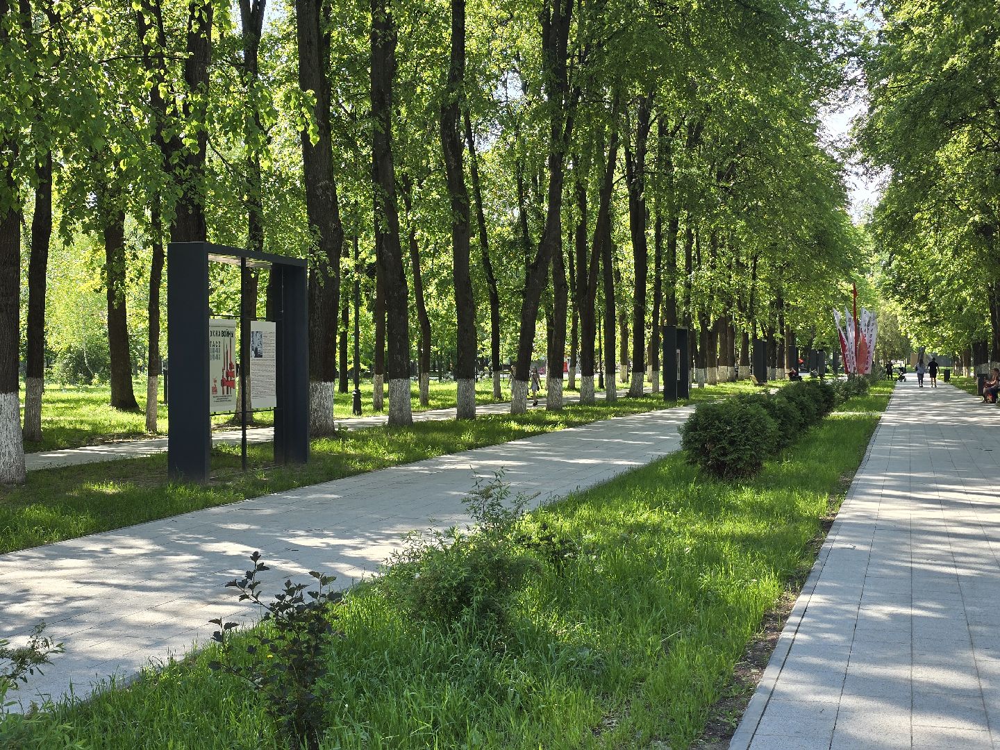 Коломна , выставка под открытым небом, плакат, окна войны,