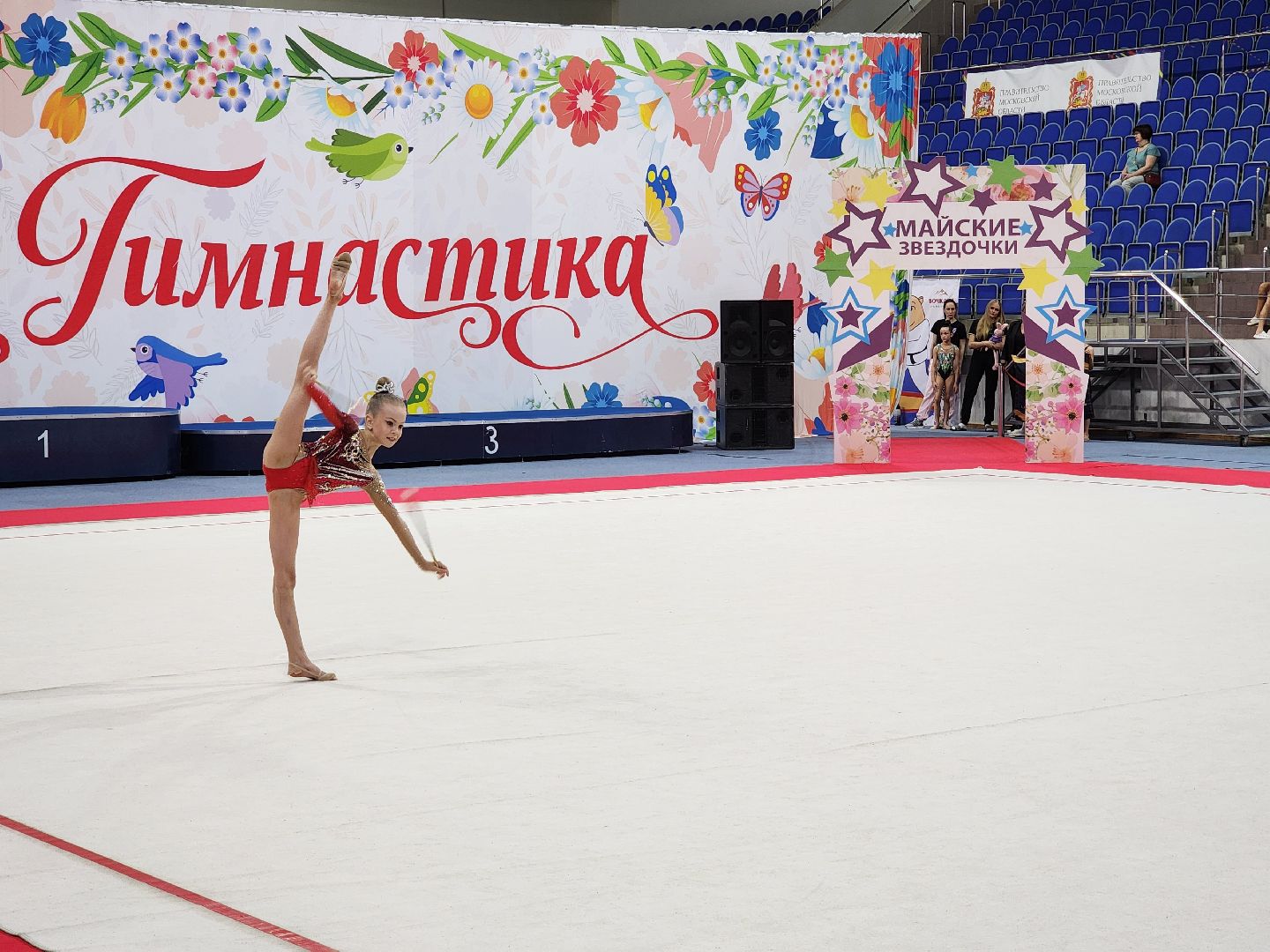 раменское, спорт, турнир по художественной гимнастике ,