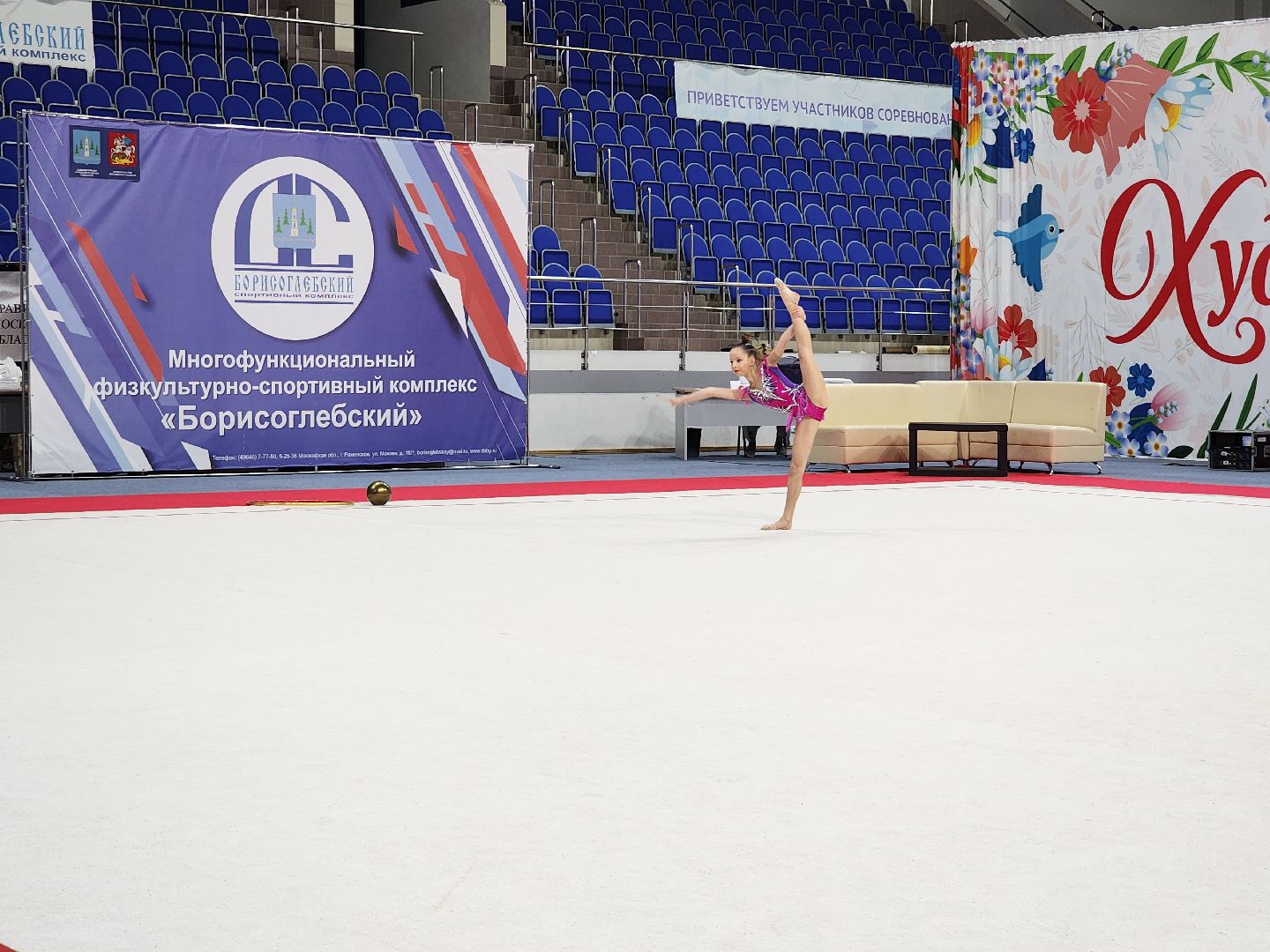 раменское, спорт, турнир по художественной гимнастике ,