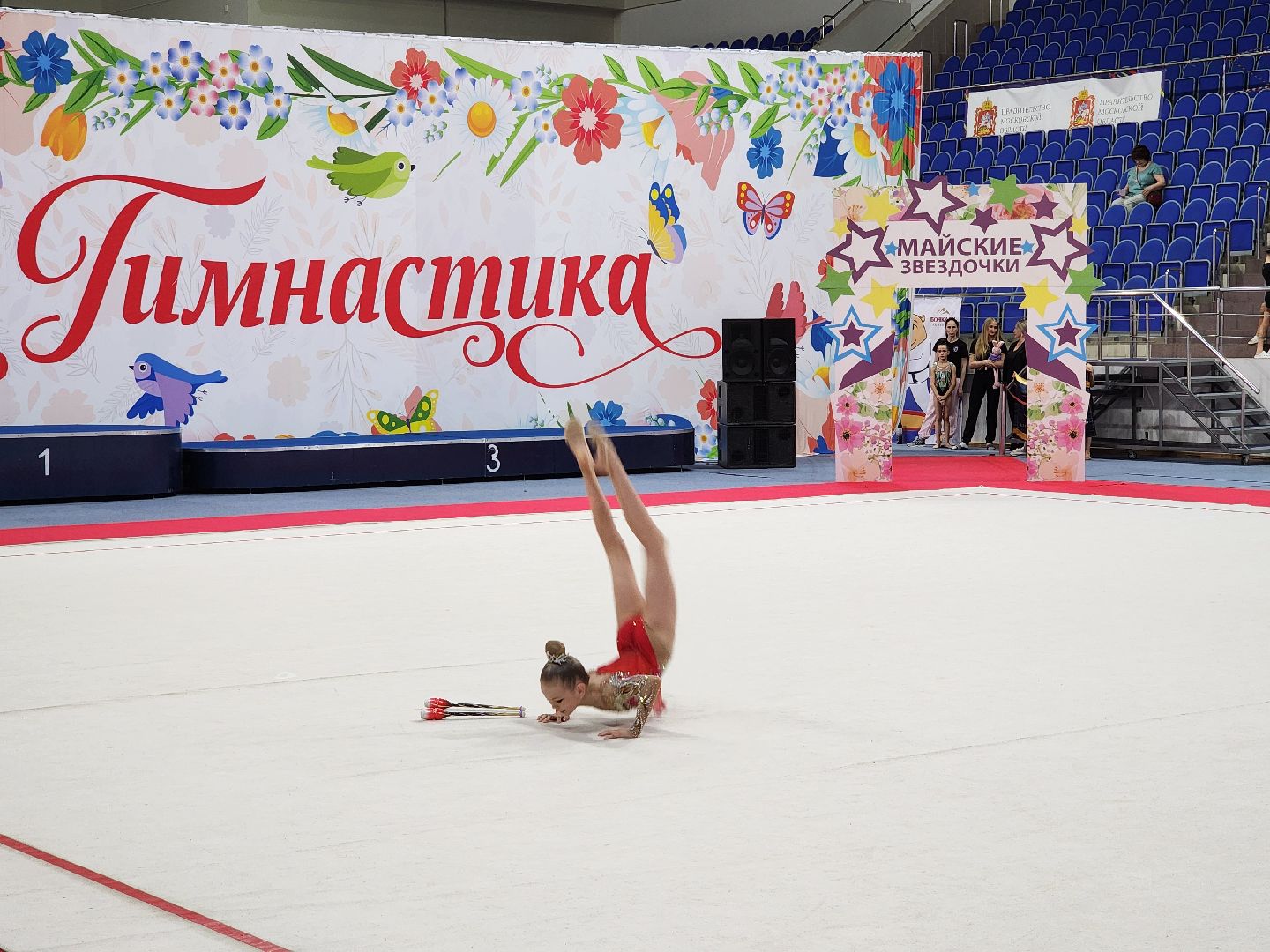 раменское, спорт, турнир по художественной гимнастике ,