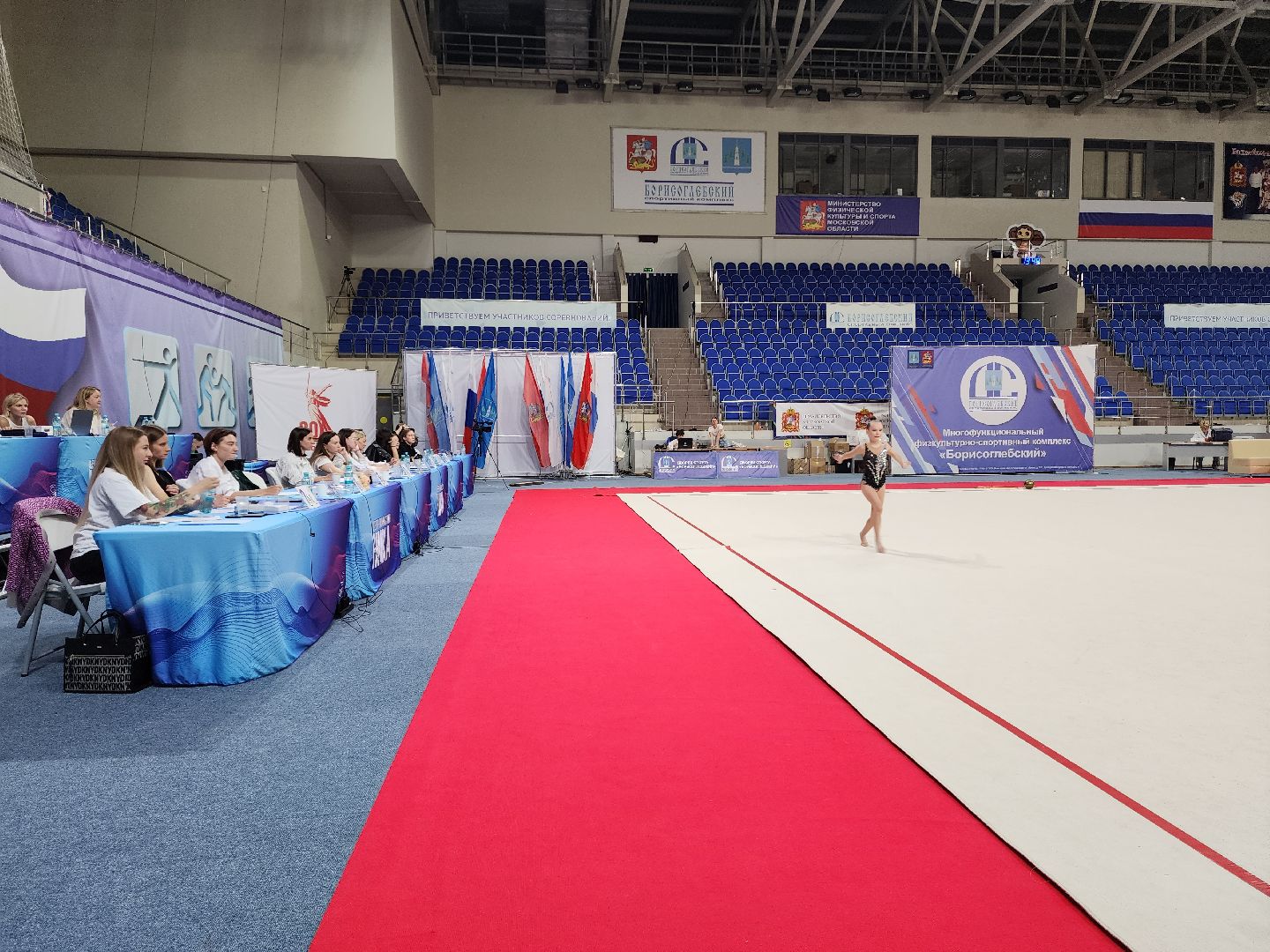 раменское, спорт, турнир по художественной гимнастике ,