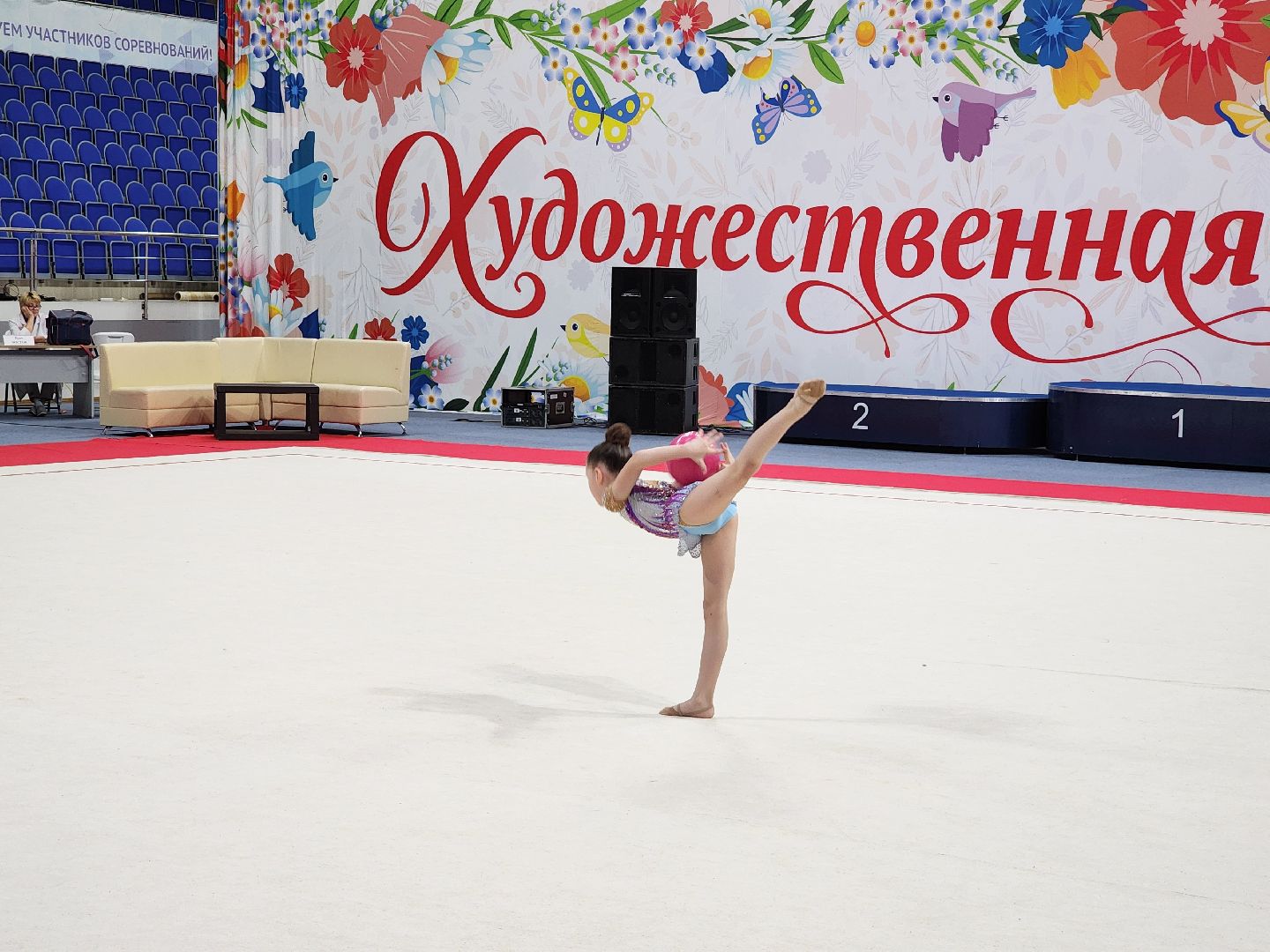 раменское, спорт, турнир по художественной гимнастике ,