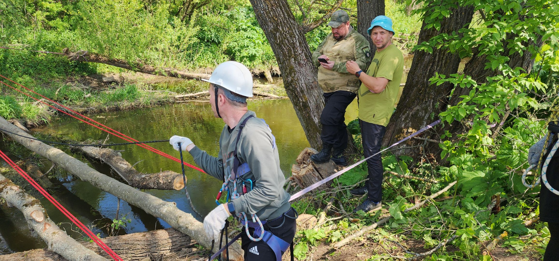 Безопасность , Образование , Школа безопасности ,
