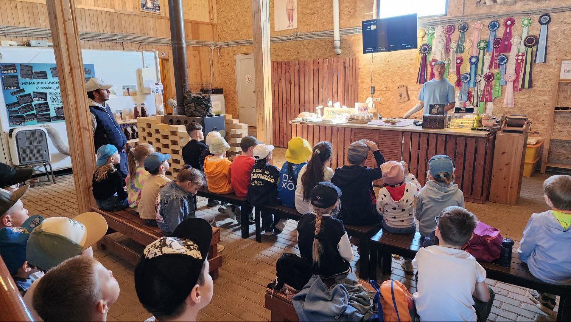 Дмитров, Ферма в Походкино, Российские альпаки, Туризм,