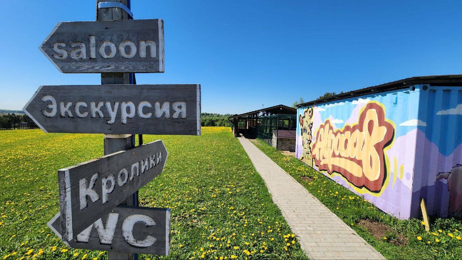 Дмитров, Ферма в Походкино, Российские альпаки, Туризм,