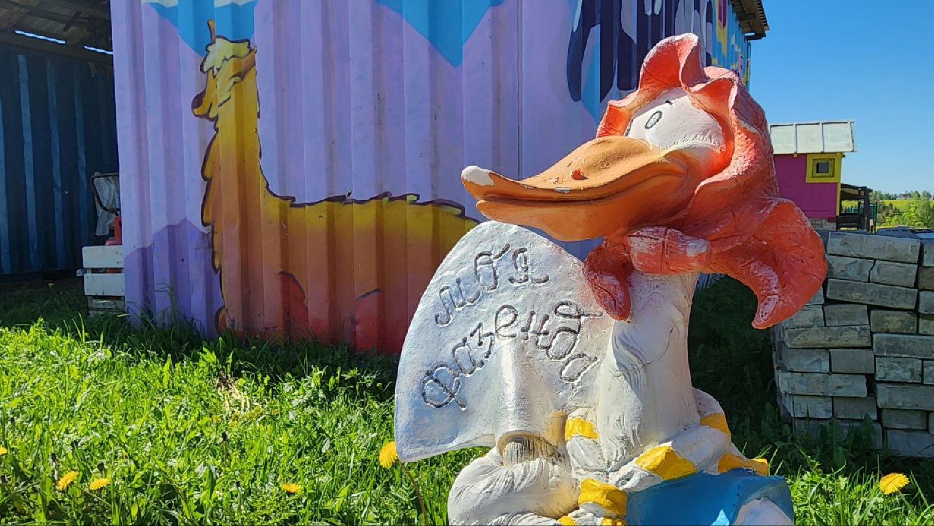 Дмитров, Ферма в Походкино, Российские альпаки, Туризм,