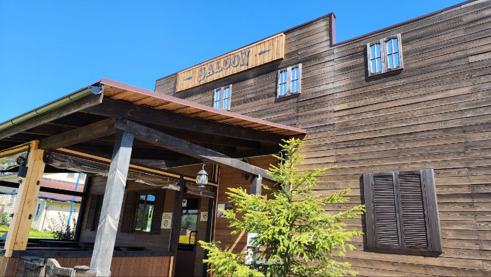 Дмитров, Ферма в Походкино, Российские альпаки, Туризм,