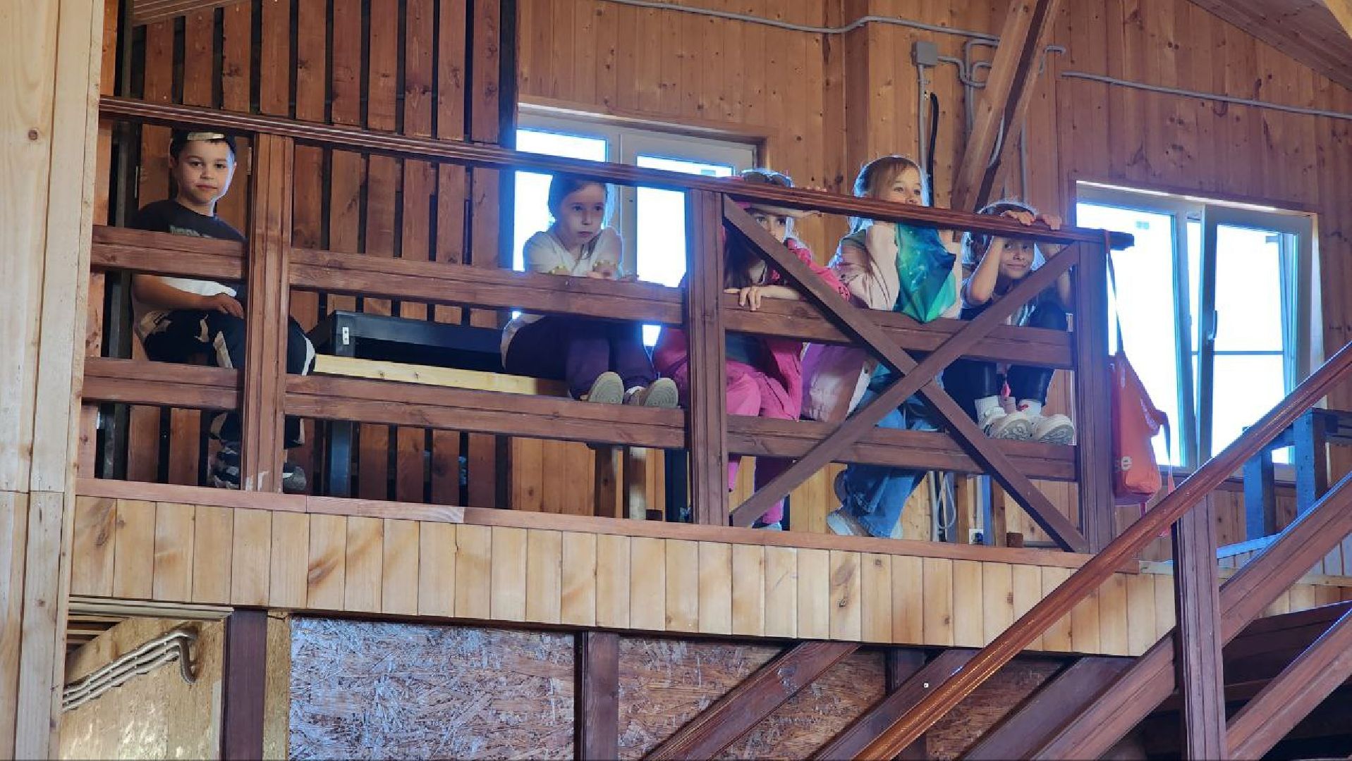 Дмитров, Ферма в Походкино, Российские альпаки, Туризм,