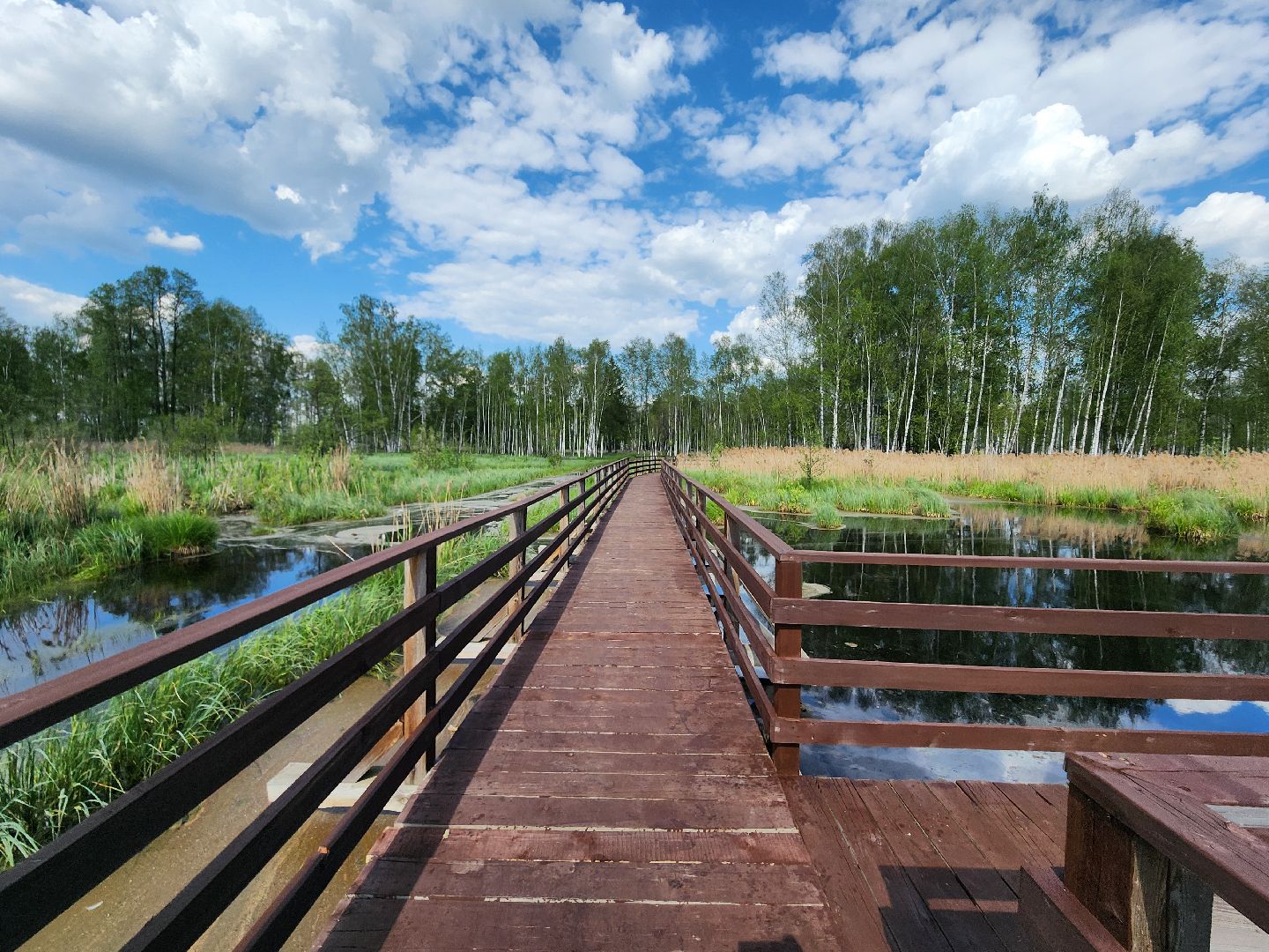 лосиный остров, мытищи,