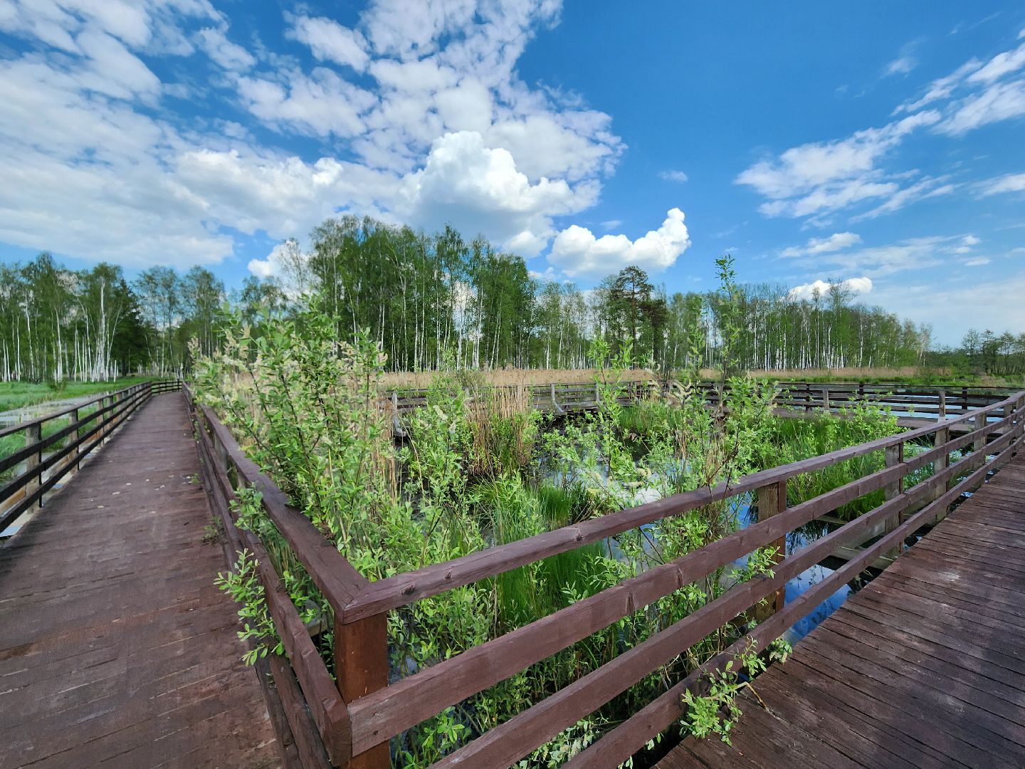 лосиный остров, мытищи,