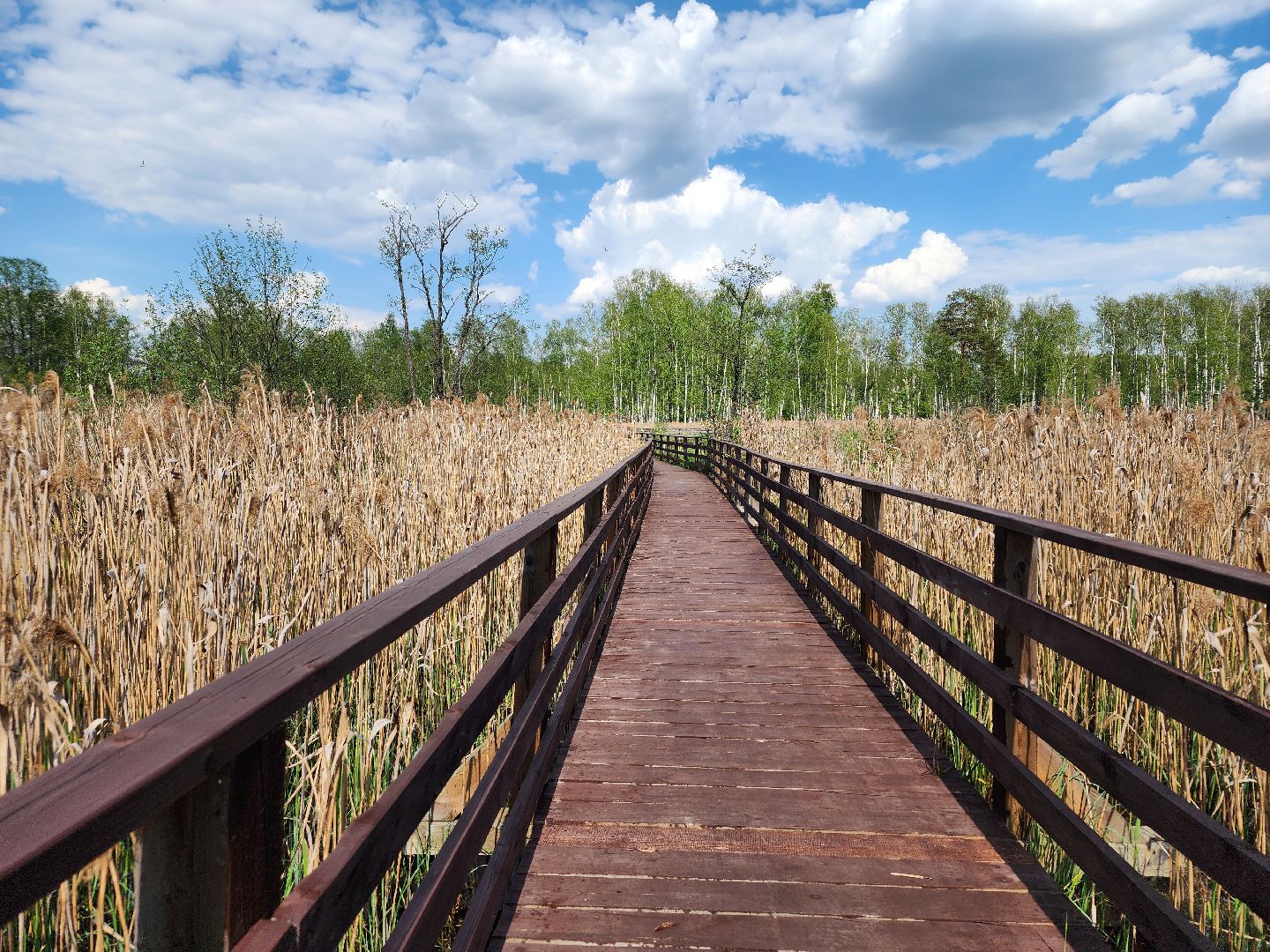 лосиный остров, мытищи,