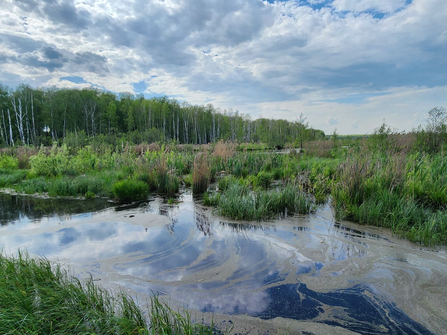 лосиный остров, мытищи,