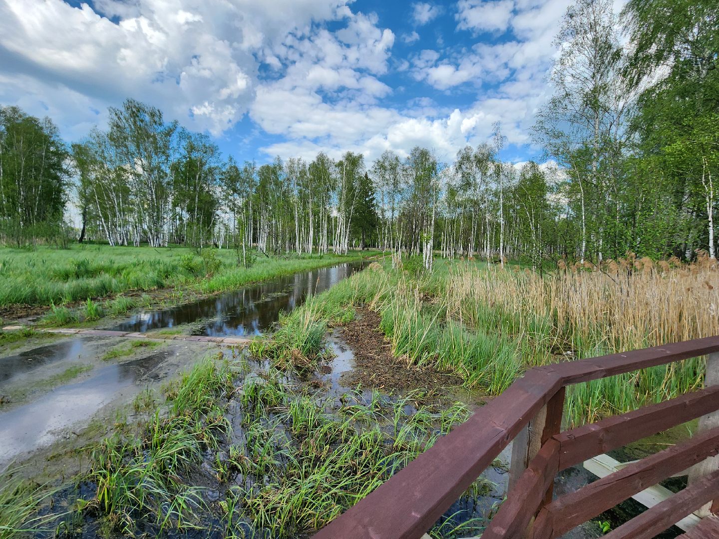 лосиный остров, мытищи,