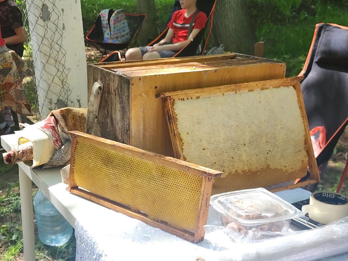 Истра , Дети, Ярмарка, День семьи,