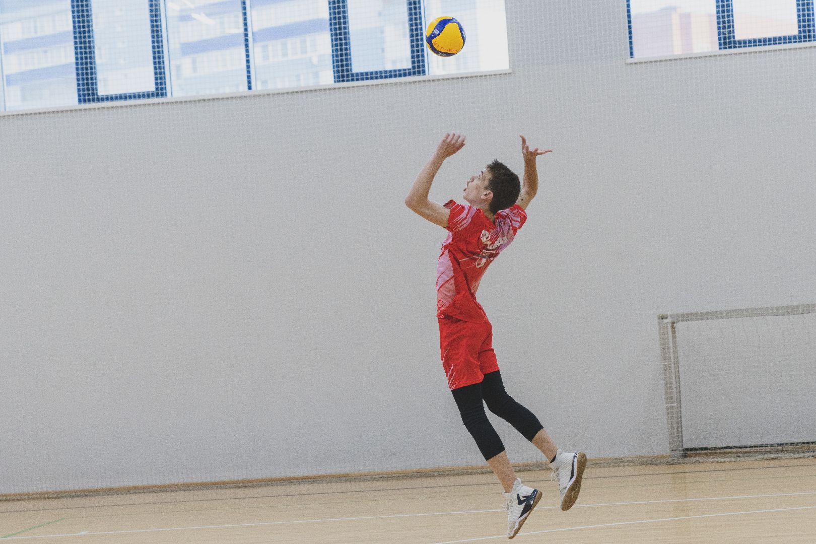 Отцы Подмосковья, волейбол, Домодедово