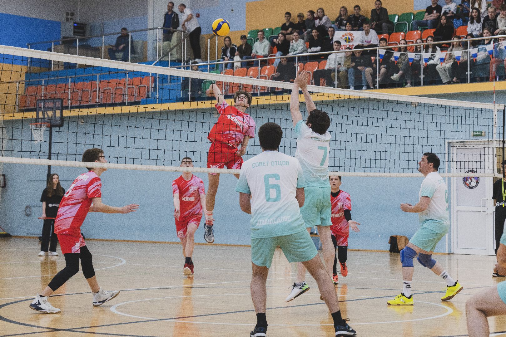 Отцы Подмосковья, волейбол, Домодедово