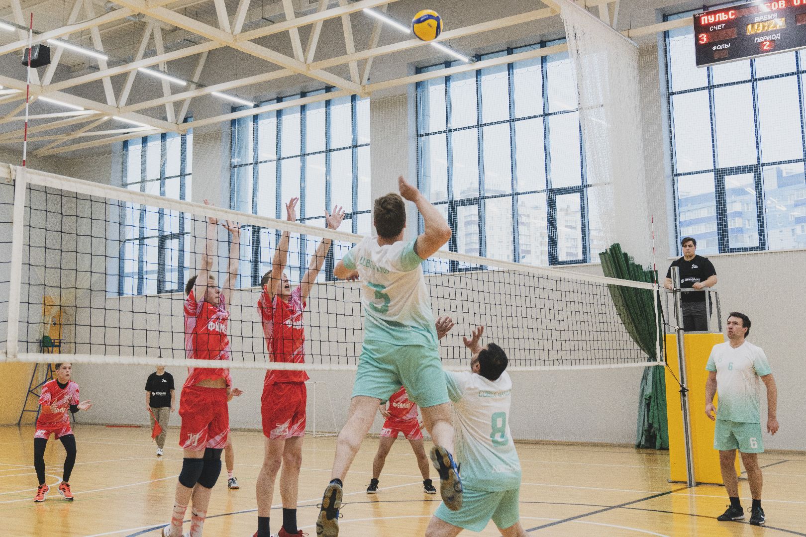 Отцы Подмосковья, волейбол, Домодедово