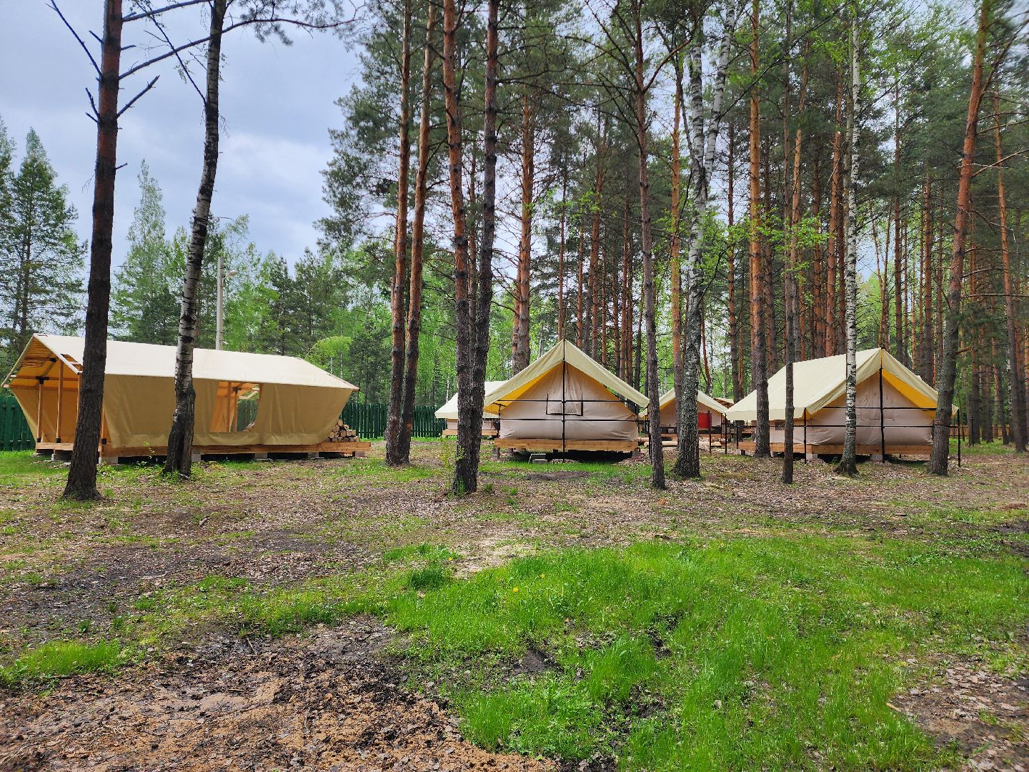 туризм в подмосковье, шатурский округ, терра ностра, детский лагерь, глэмпинг,