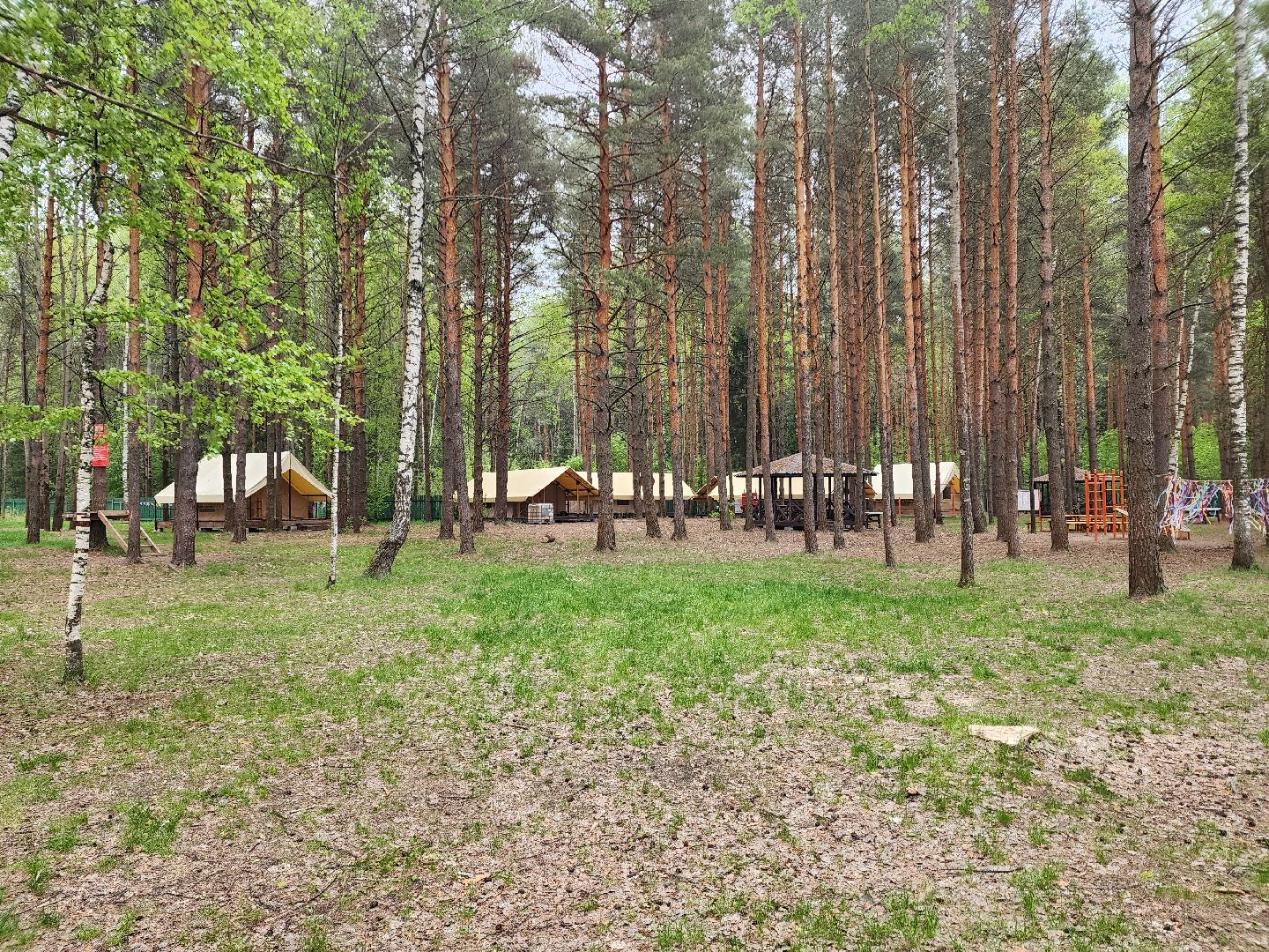 туризм в подмосковье, шатурский округ, терра ностра, детский лагерь, глэмпинг,
