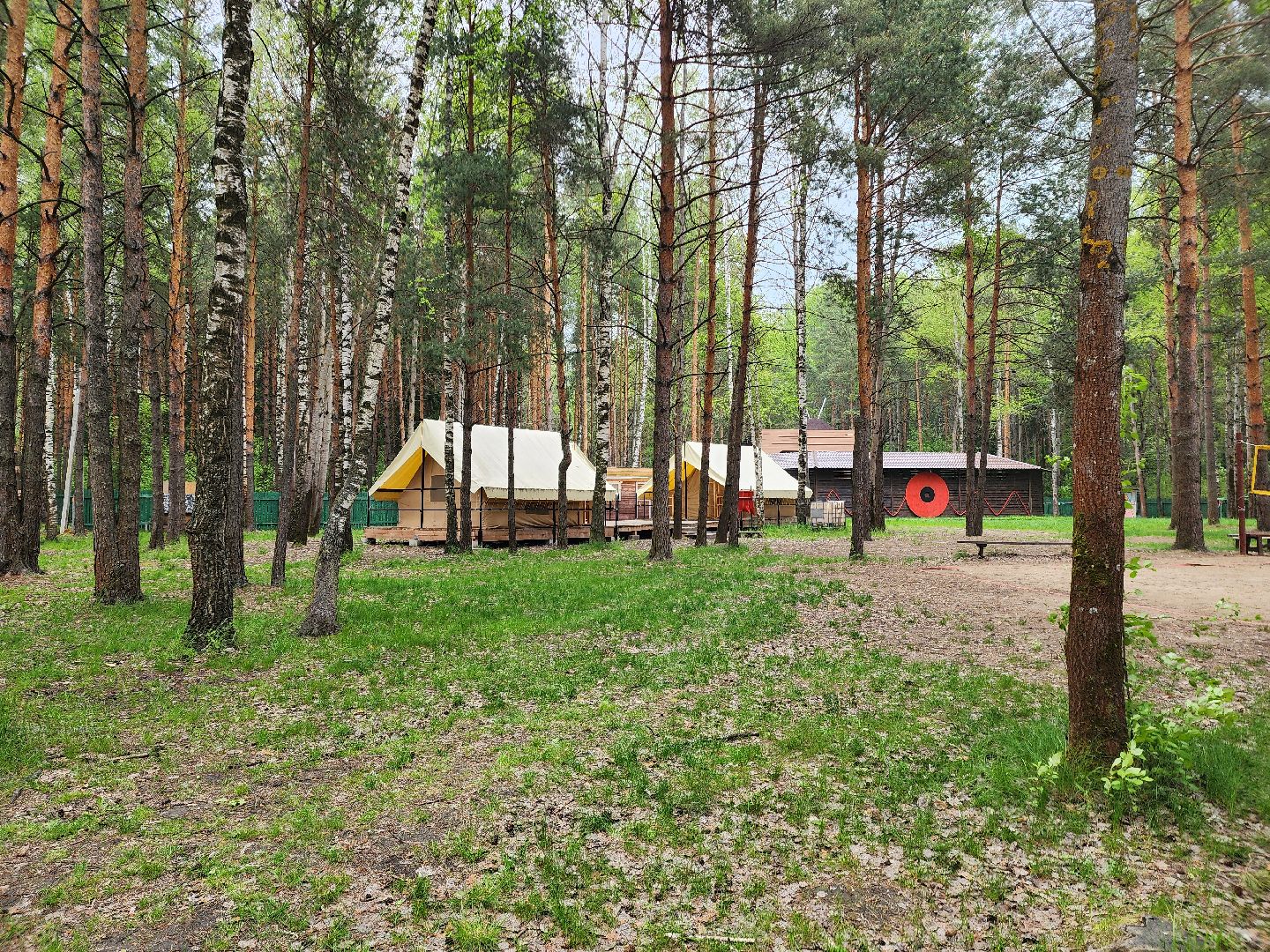 туризм в подмосковье, шатурский округ, терра ностра, детский лагерь, глэмпинг,