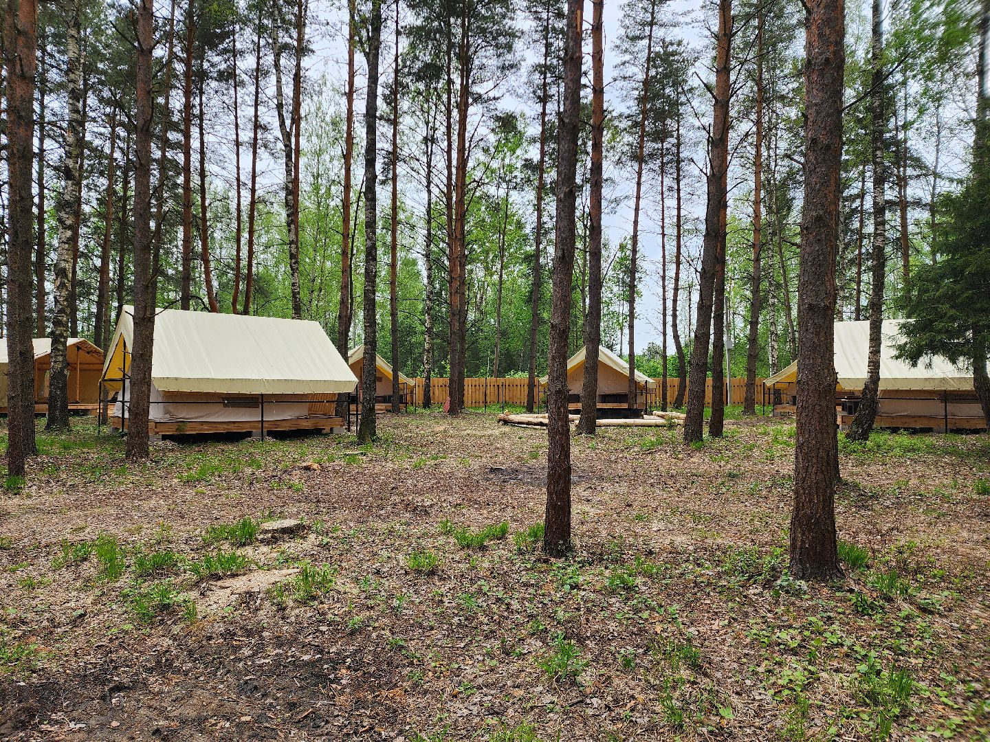 туризм в подмосковье, шатурский округ, терра ностра, детский лагерь, глэмпинг,