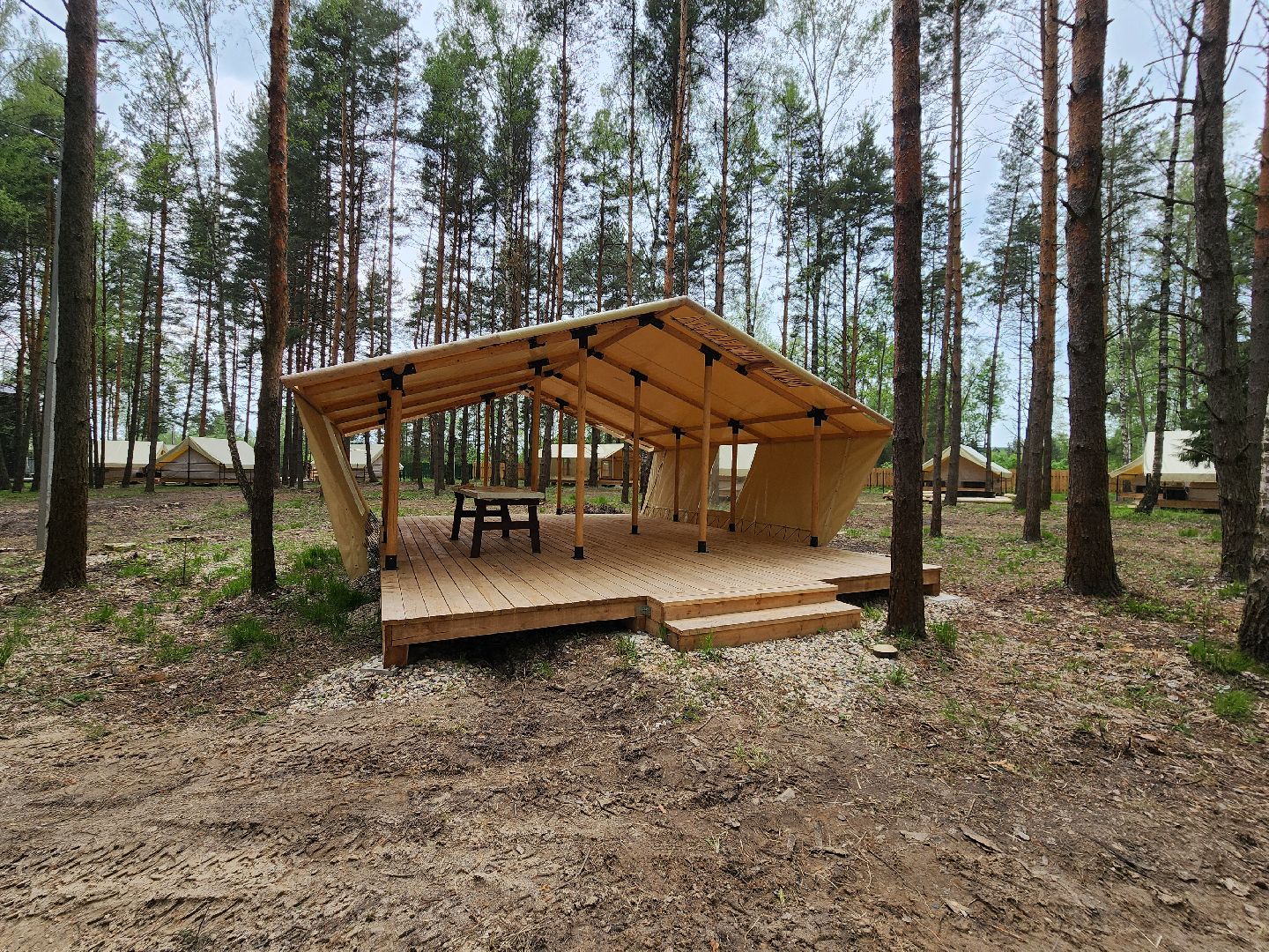 туризм в подмосковье, шатурский округ, терра ностра, детский лагерь, глэмпинг,