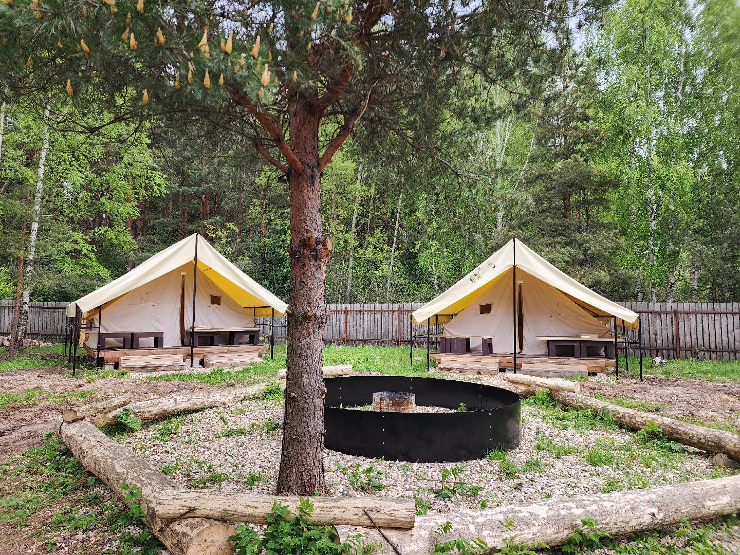 туризм в подмосковье, шатурский округ, терра ностра, детский лагерь, глэмпинг,