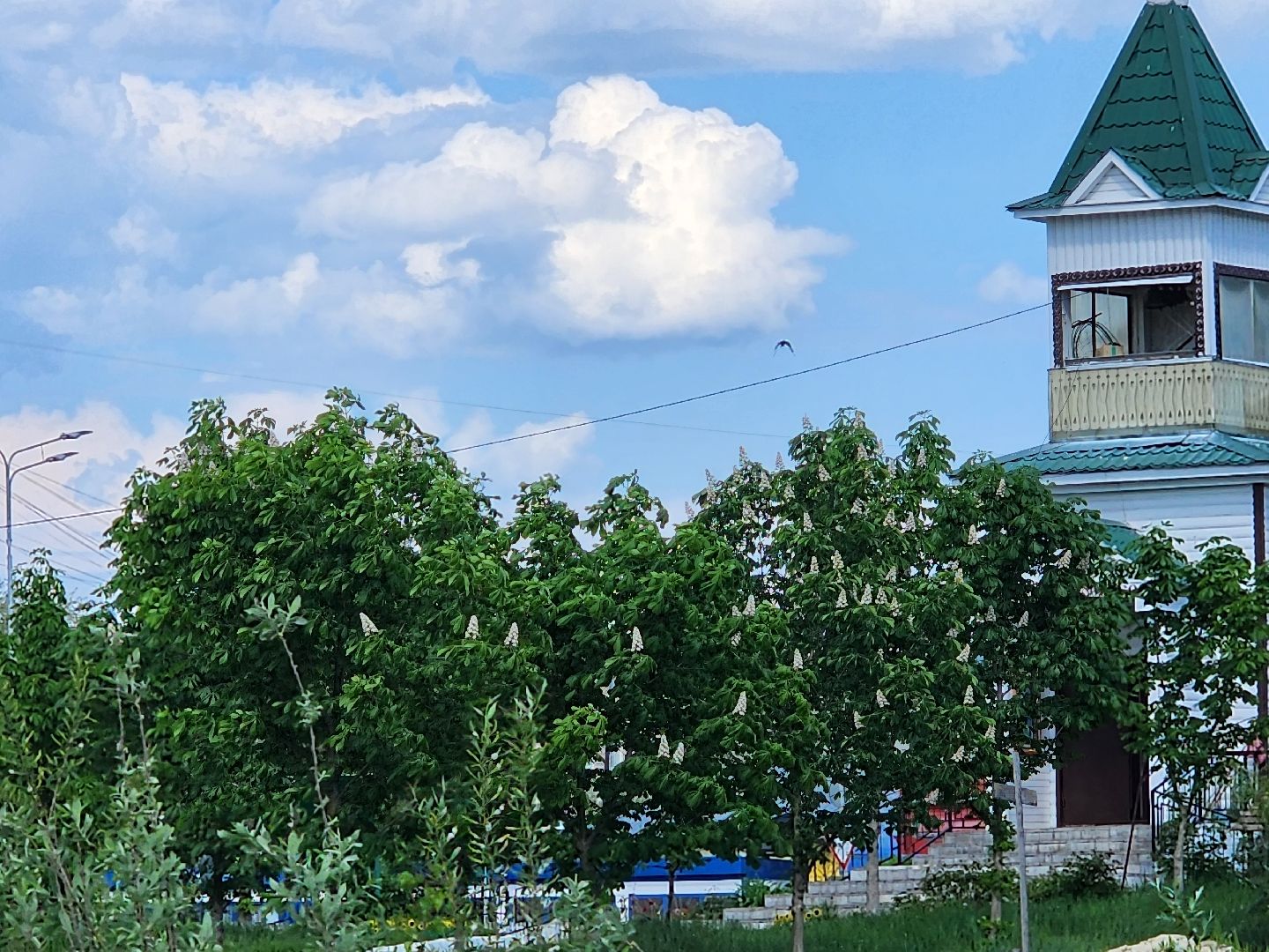 аллергия, шатура,шатурская больница,