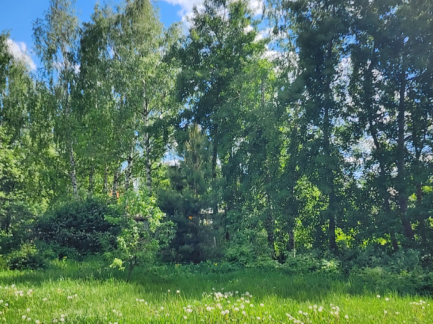 аллергия, шатура,шатурская больница,