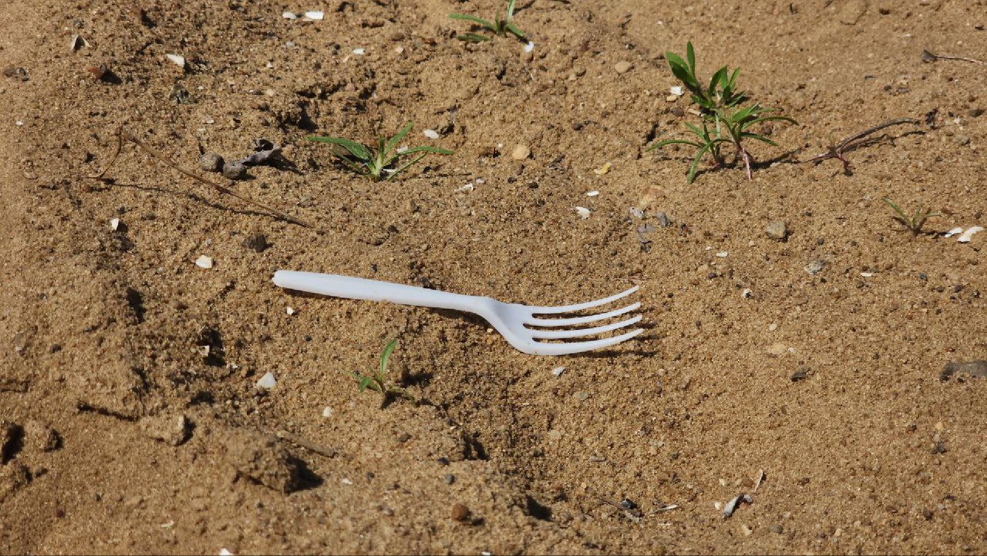 АкцияВодаРоссии #Экология #Луховицы #Белоомут #ЧистыеБерега,