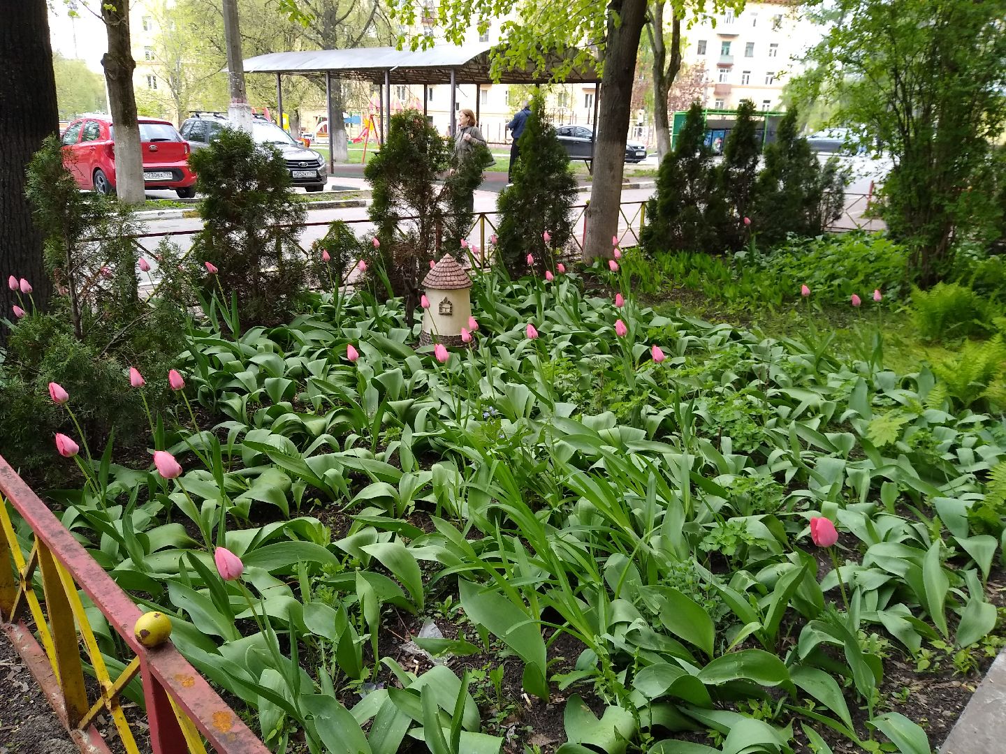 Раменское, благоустройство, тюльпаны