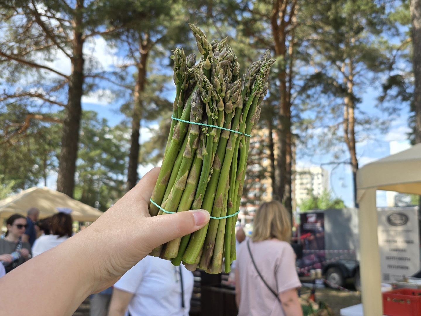 Коломна, Озеры, спаржа, кулинарный фестиваль,