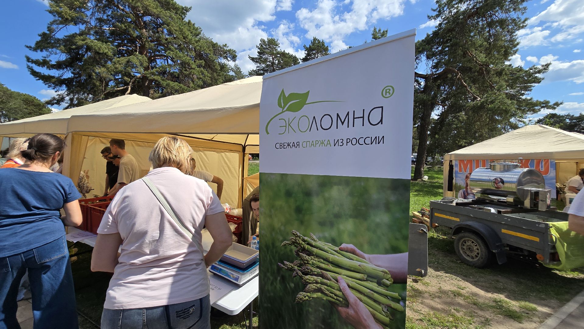 Коломна, Озеры, спаржа, кулинарный фестиваль,