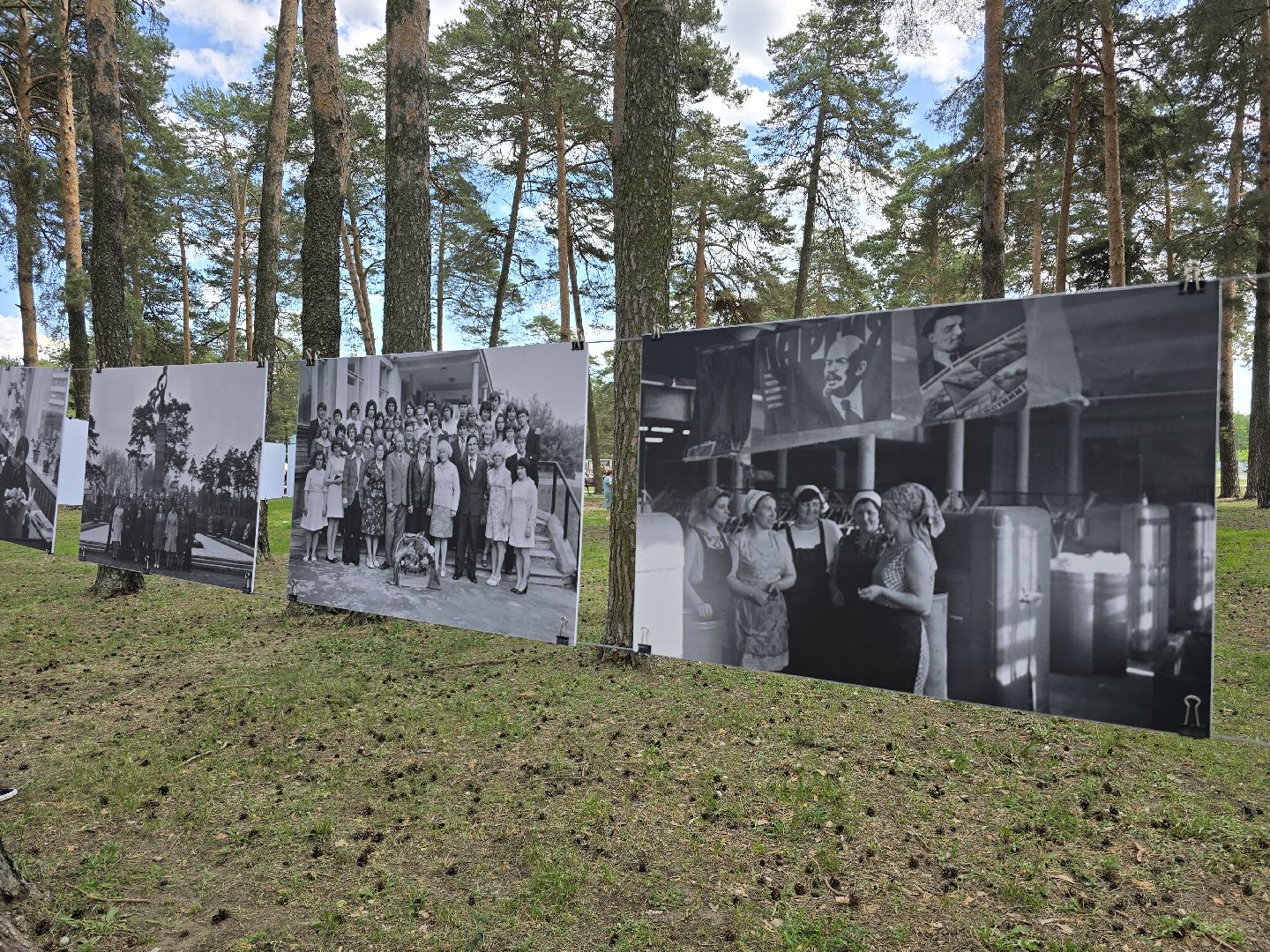 Коломна, Озеры, спаржа, кулинарный фестиваль,