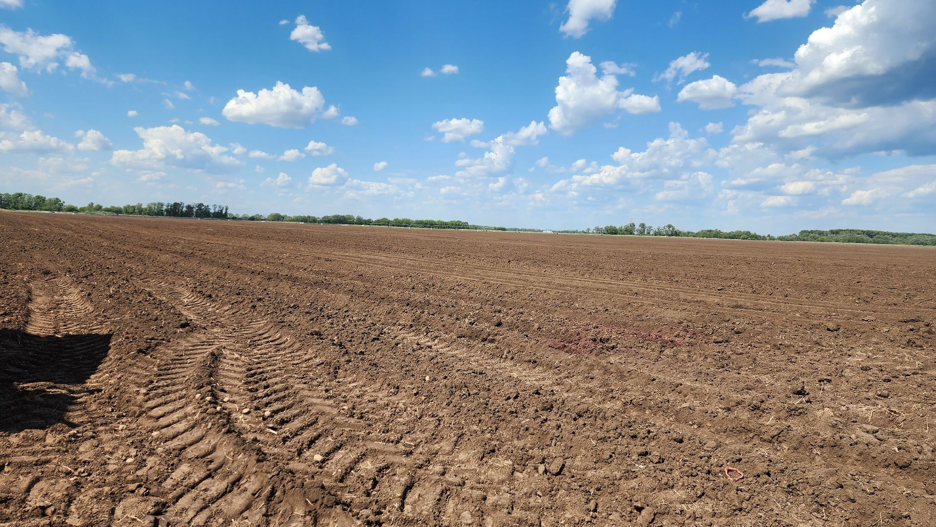 СПКимЛенина #Агропром #Луховицы #ПосадкаКартофеля #СельскоеХозяйство,