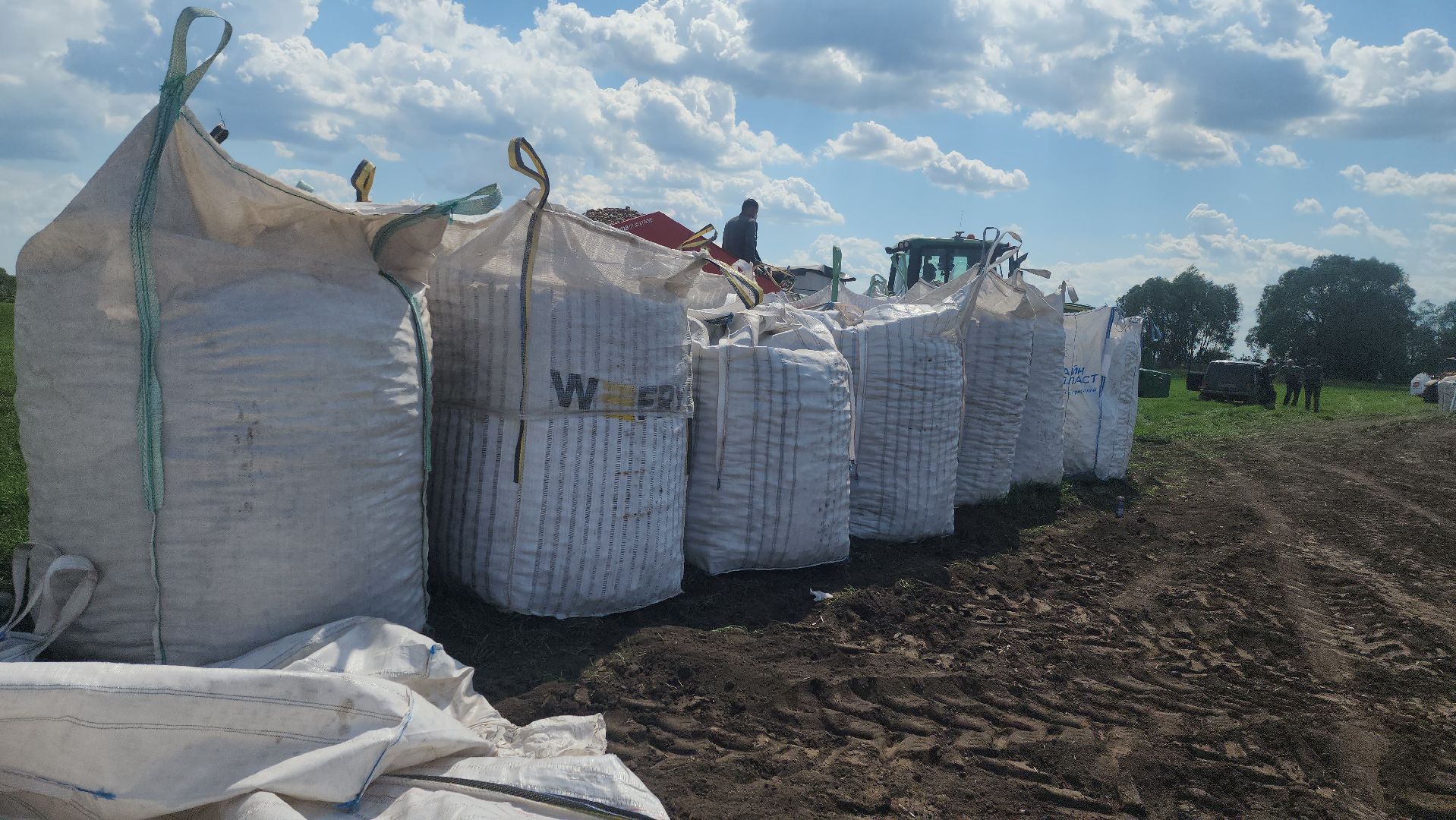 СПКимЛенина #Агропром #Луховицы #ПосадкаКартофеля #СельскоеХозяйство,