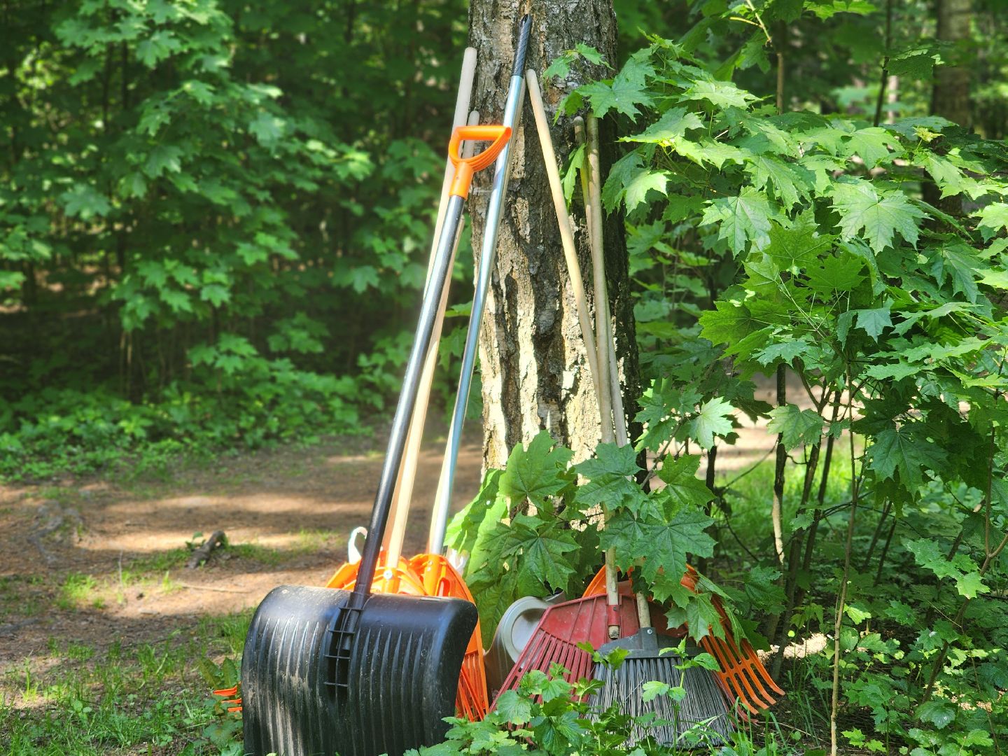 королёв, верхний комитетский лес, субботник в королеве,